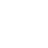 Not VAT Registered (Light)
